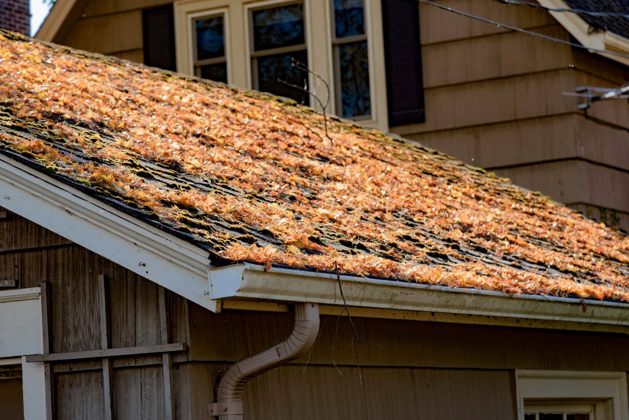 spring weather roof prep, spring roof maintenance, Eagle