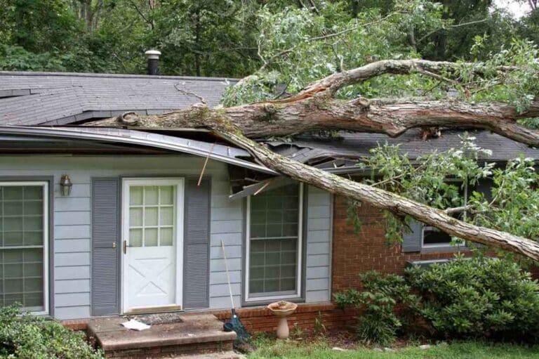 top storm damage expert in Marsing ID