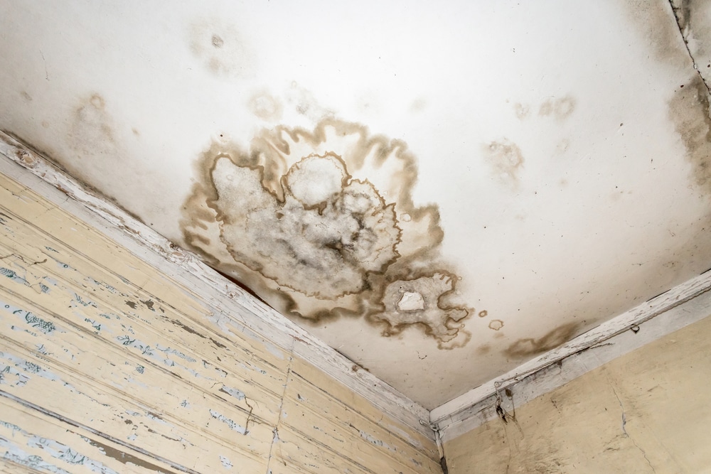 Water stain on a living room ceiling caused by a roof leak in a Boise home