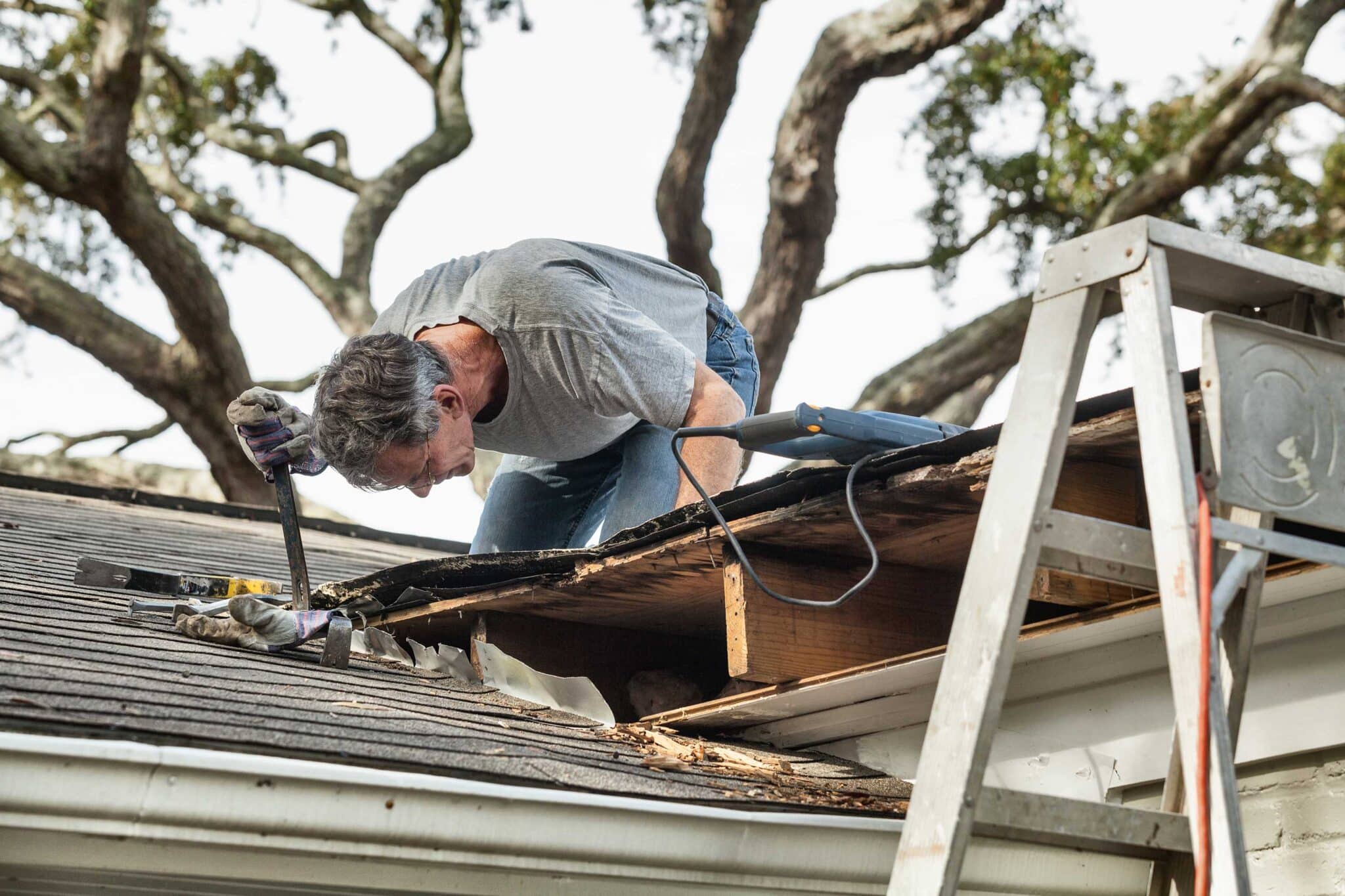tree damage roof repair in Boise