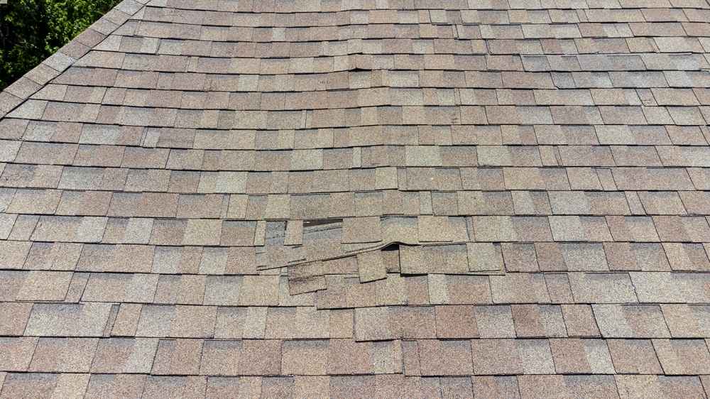 asphalt shingle roofing failure